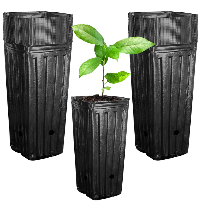 Iceyyyy 40Pcs Tall Tree Pots,Plastic Deep Nursery Treepots,7.8" Tall Seedling Flower Plant Container Pots for Indoor Outdoor Garden Plants (40pcs)