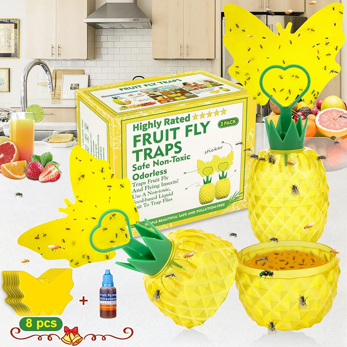 Fruit Fly Trap with Sticker, Effective Gnat Killer Fly Catcher with Yellow Sticky Trap, Fruit Fly Gnat Traps for Indoor House with Bait, Safe Non-Toxic Fly Trap for Home, Kitchen, Indoor Use (2 Pack)